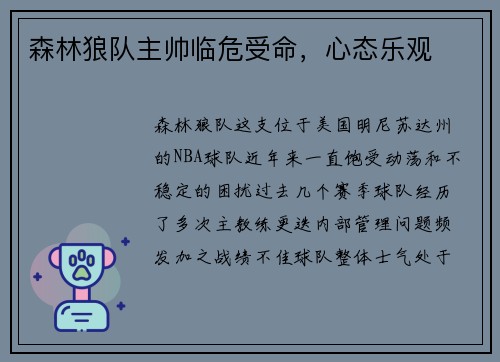 森林狼队主帅临危受命，心态乐观